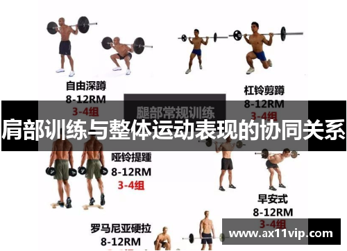 肩部训练与整体运动表现的协同关系