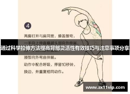通过科学拉伸方法提高背部灵活性有效技巧与注意事项分享